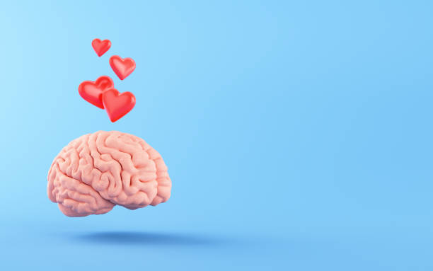 istock Red Hearts on the human brain in the blue background. 3d rendering. 2198175369
