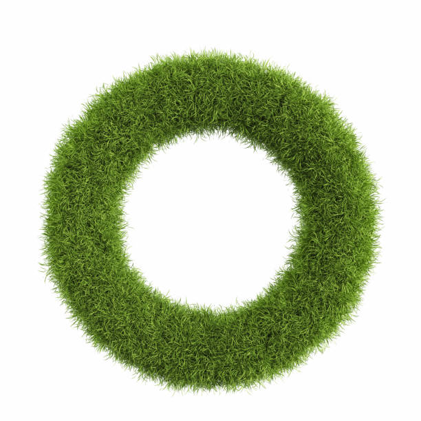 istock Ring frame made entirely of vibrant green grass isolated on a white background 2198175806