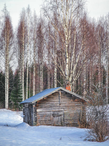 Snow-covered pine forest featuring rustic wooden shelters under a clear blue sky, creating a tranquil and serene atmosphere on a beautiful winter day in nature's untouched landscape
