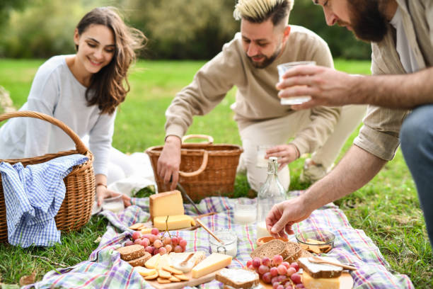 istock Joyful Friends Having Fun Picnic Date on Meadow Preparing Snacks 2198178008