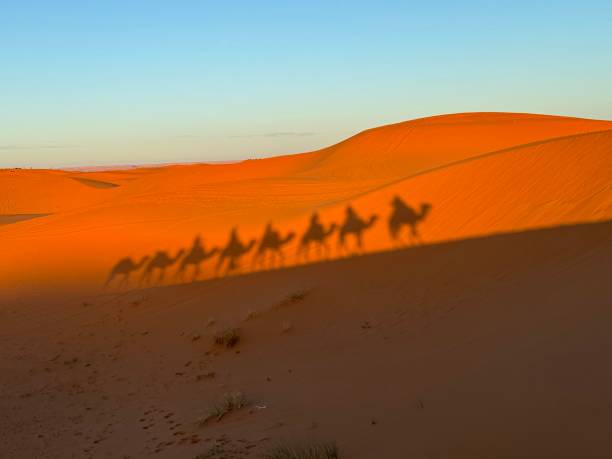 istock sand dunes in the desert 2198183673