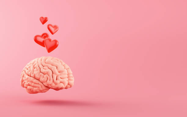 istock Red Hearts on the human brain in the pink background. 3d rendering. 2198184147