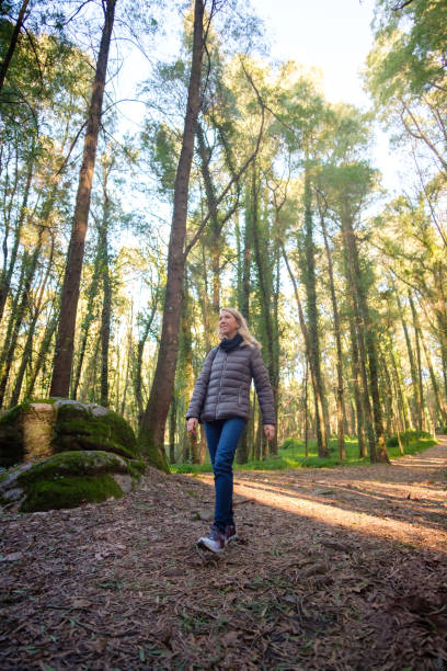 istock Woman walking in the forest 2198185821