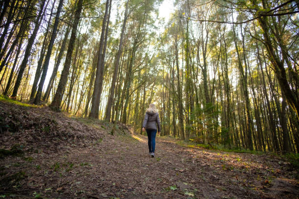 istock Woman walking in the forest 2198185865