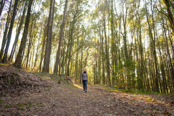 istock Woman walking in the forest 2198185896