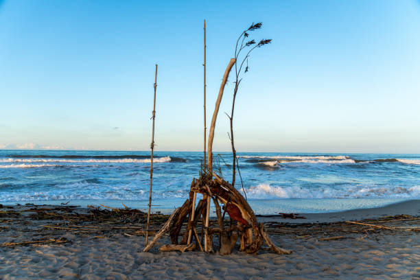Wood sculpture made from driftwood on the beach surrounded by debris and sand, set against the wavy sea and a clear blue sky.