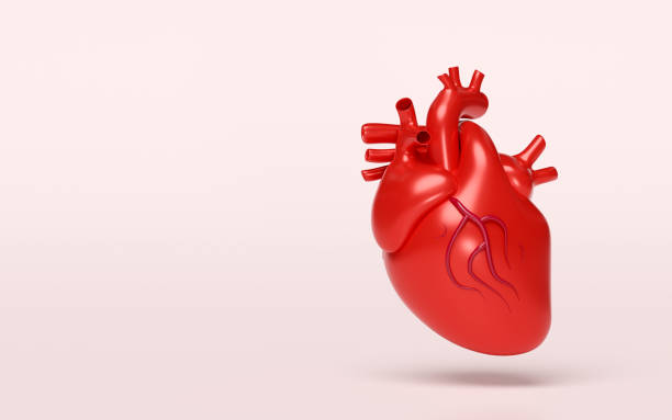 istock 3d realistic human heart isolated on pink background. 3d illustration render 2198189423