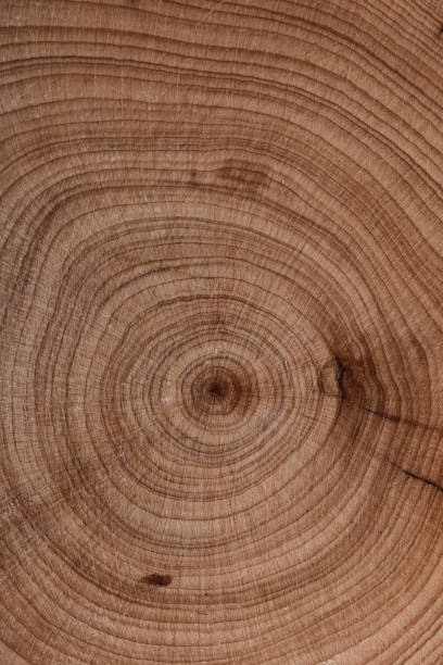 istock Empty color of brown surface on nature pattern desk board. 2198189963