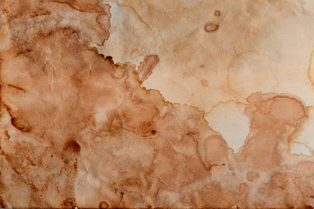 istock Blank old yellow aged paper vintage and texture background. 2198190092