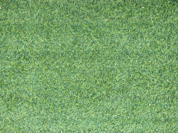 istock A green field with grass and green sprinkles 2198192517