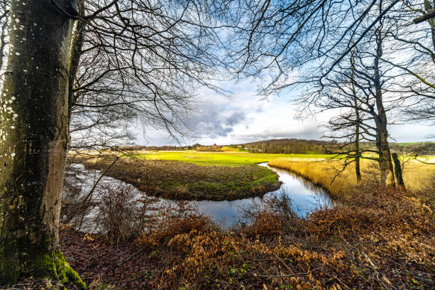 istock Peaceful Landscape with Meadows, Stream, Trees, and Vibrant Skies in Springtime 2198193167