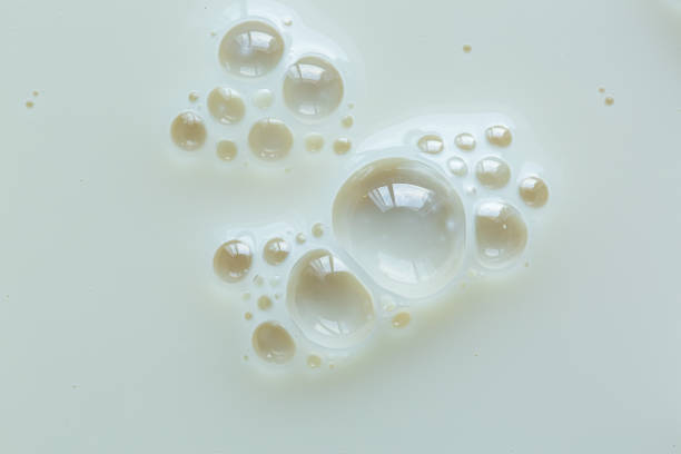 istock Close-up macro milk texture,Close-up macro milk foam texture,Soy milk bubble foam background on top view close up,Texture or background from milk with bubbles close up. Milk 2198197214