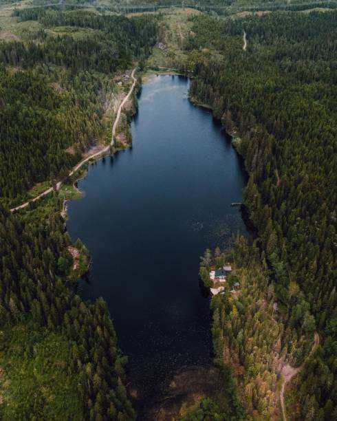 istock Aerial view of a forest lake and cabin. 2198202036
