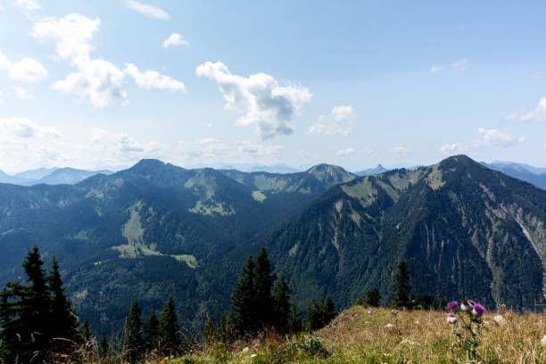 istock Bodenschneid mountain tour in springtime, Bavaria, Germany 2198202806