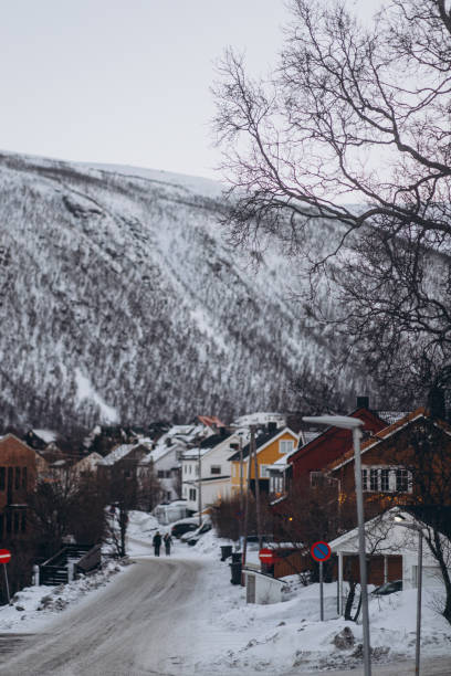 istock Mountain Village in Winter 2198205124