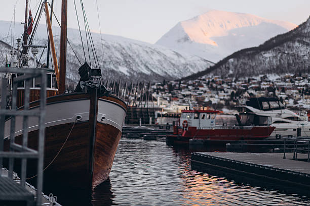 A marina with boats and a snow-covered mountain in the distance.