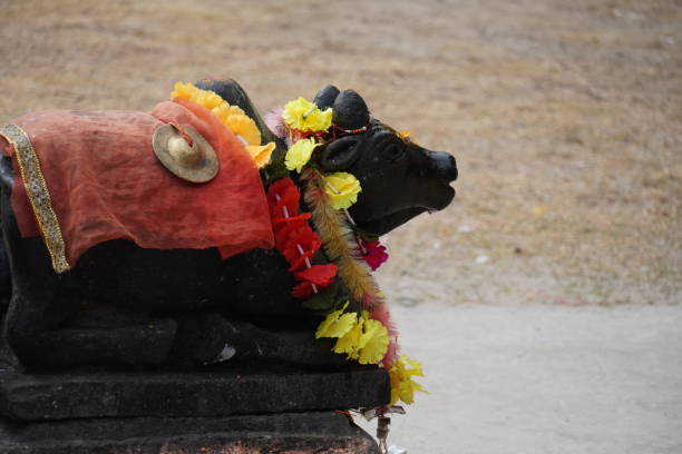 istock Decorated nandi Statue with Floral Garlands 2198206745