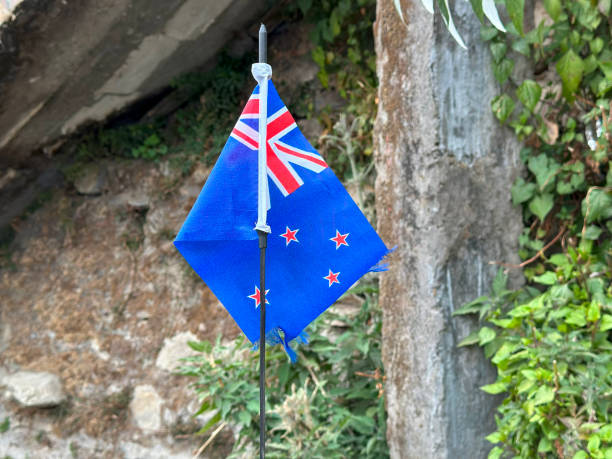 Brick wall New Zealand flag background. 3d illustration.