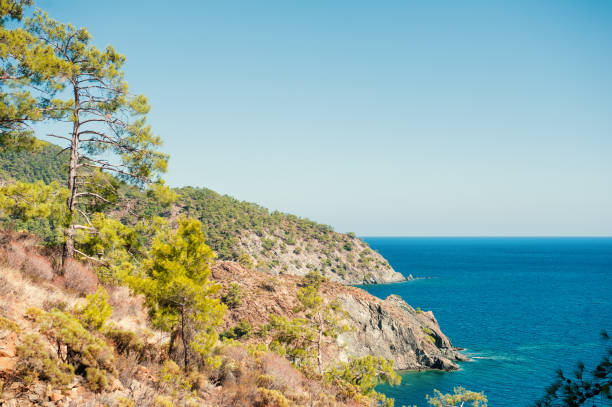 istock Breathtaking coastal landscape with turquoise waters and pine-covered mountains 2198208866