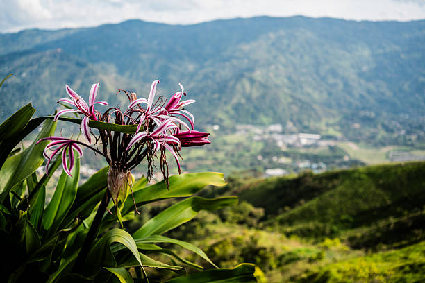 Farm in Barbosa, Antioquia