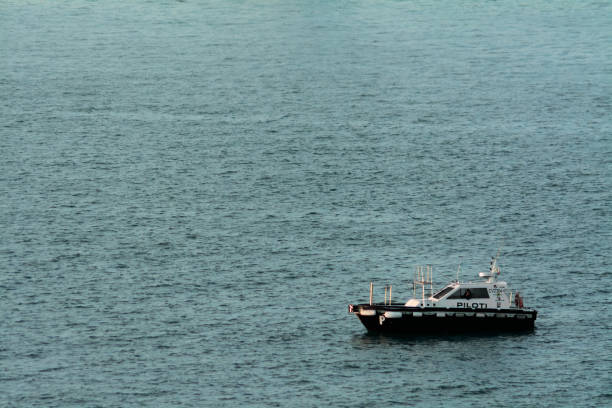 Pilot boat moving at speed on the sea.