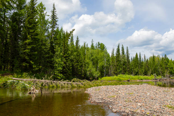 istock Summer landscape with river Azas. Russia. Siberia 2198218549
