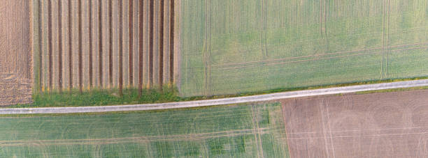 istock High-resolution aerial view of farmland and rural road 2198218708