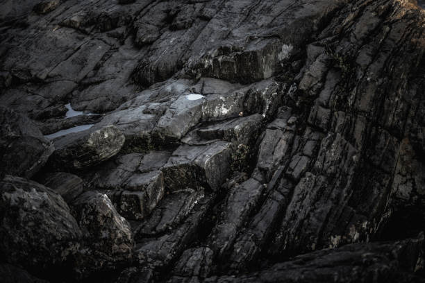 Natural rock formations with small pools of water, surrounded by plants, evoking a quiet and earthy ambiance.