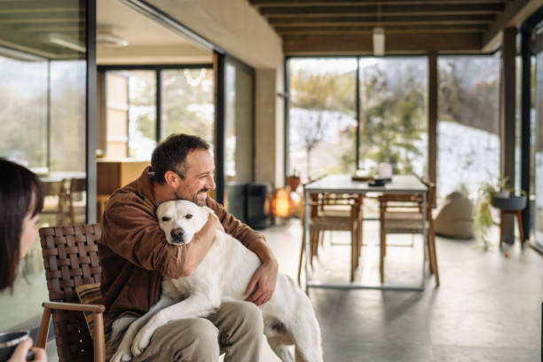 istock With our dog in a cabin house 2198220840