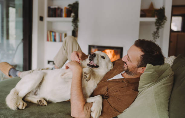 Enjoying together by the fireplace