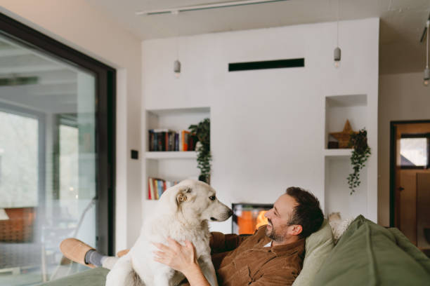 istock Enjoying together by the fireplace 2198220852