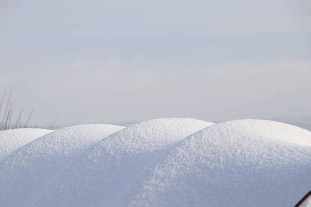 Snowcovered waves form a tranquil and serene winter landscape beneath a clear, light blue sky above