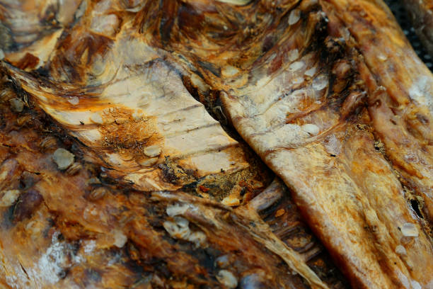 Producing dried fish from a solar drying dome system