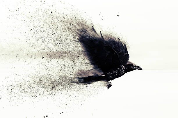 Abstract artistic wildlife. Dispersion, splatter effect.