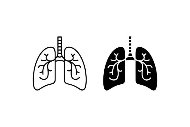ilustrações de stock, clip art, desenhos animados e ícones de human lungs icon in outline and solid styles vector - pulmão