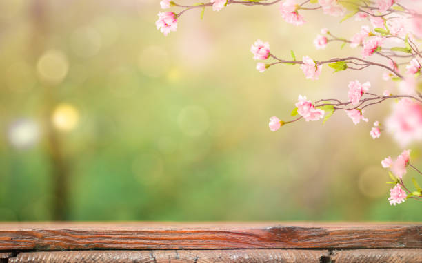Spring Blossom Background with Wooden Table
