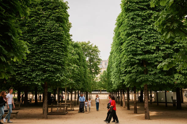 People walking among the trees in Tuileries Garden - Paris