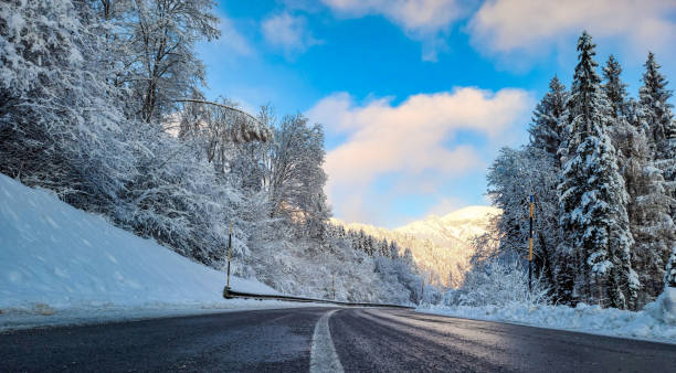 A stunning winter landscape featuring a winding road surrounded by snow-covered trees and towering evergreen forests. The crisp blue sky with soft clouds adds depth and contrast to the snowy scenery, while distant sunlit mountain peaks create a breathtaking view. The icy road reflects the natural beauty of the season, making this a perfect representation of winter travel and nature's tranquility.