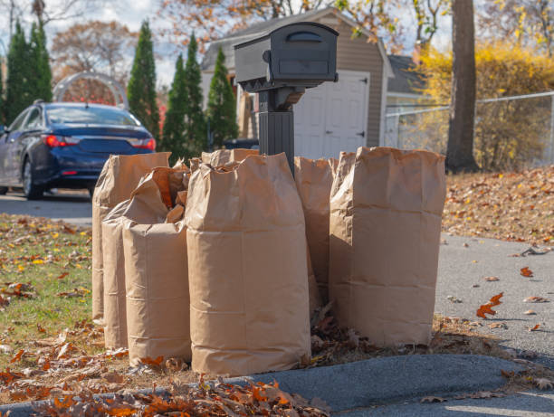 istock fallen leaves collected in recycle paper bag in autumn 2198238082