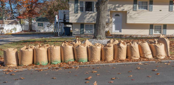 istock fallen leaves collected in recycle paper bag in autumn 2198238086