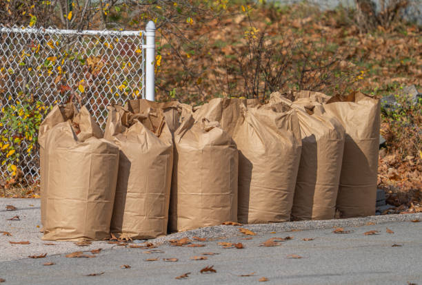 istock fallen leaves collected in recycle paper bag in autumn 2198238232