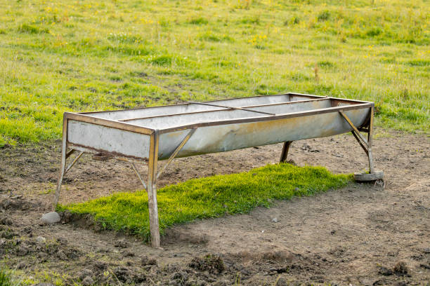 Empty Galvanized Cattle Feeding Field Trough on Steel Legs in Farm Grass Pasture