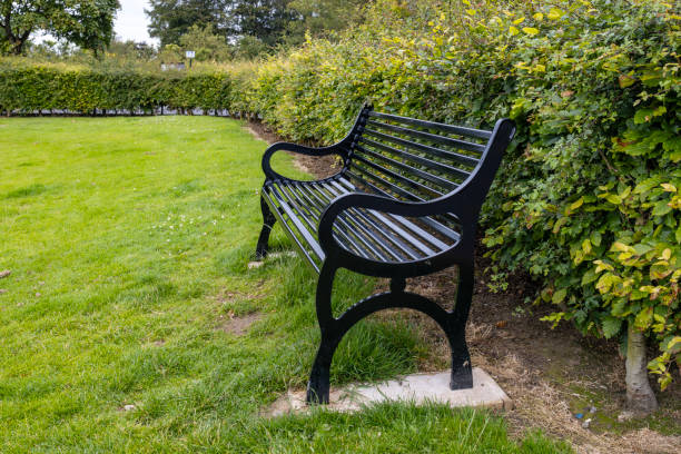 Metal bench seating painted black in public park beside a beech hedge