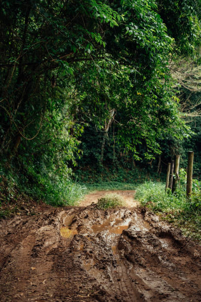 istock Mud on a country road 2198241047