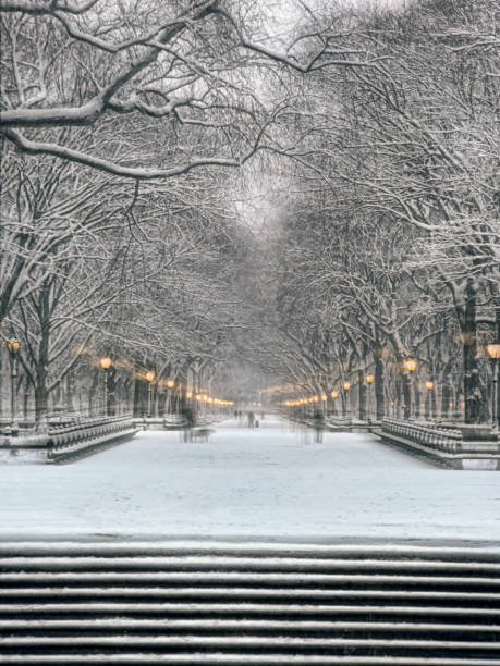 istock Central Park the Mall, snow storm 2198248436