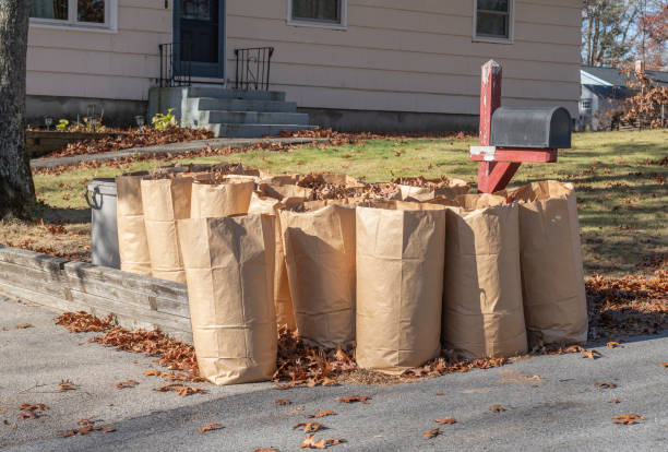 istock fallen leaves collected in recycle paper bag in autumn 2198248683