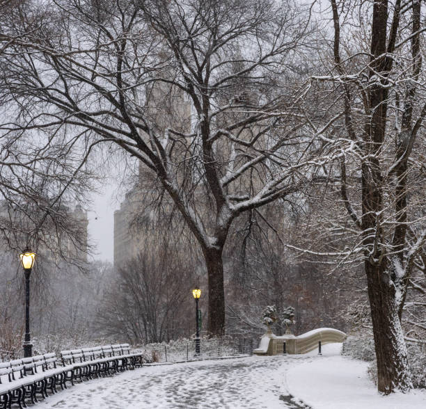 istock Central Park in winter , snow storm 2198248750