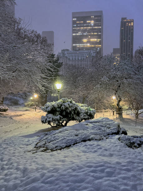 istock Central Park in winter , snow storm 2198248823