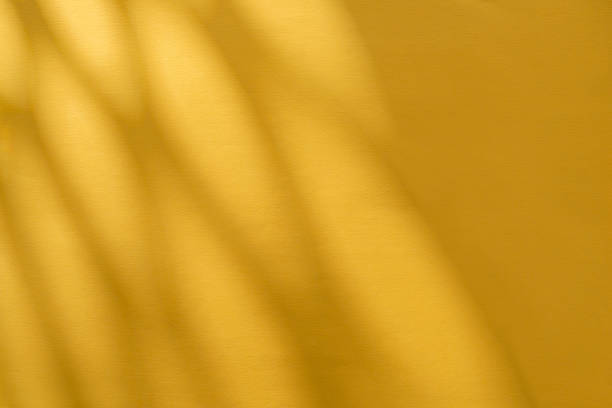Gray shadow of the leaves