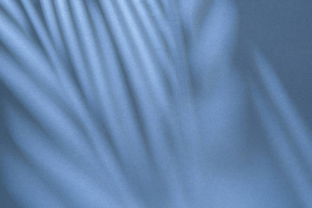 Gray shadow of the leaves